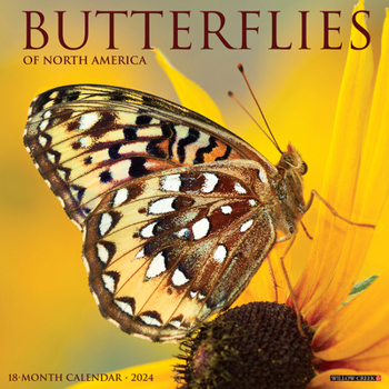 Calendar Butterflies 2024 12 X 12 Wall Calendar Book