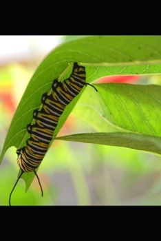 Paperback Around the day in my own world. Book