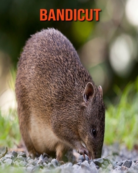 Paperback Bandicut: Im?genes asombrosas y datos curiosos [Spanish] Book