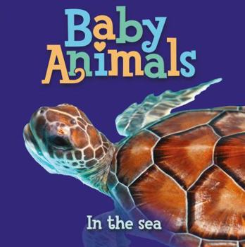 Board book Baby Animals: In the Sea Book