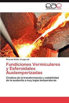 Paperback Fundiciones Vermiculares y Esferoidales Austemperizadas [Spanish] Book