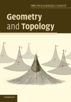 Paperback Geometry and Topology Book