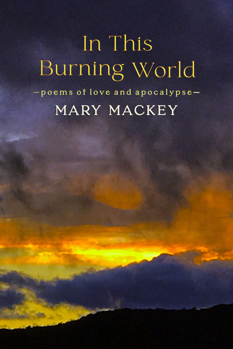 In This Burning World: Poems of Love and Apocalypse