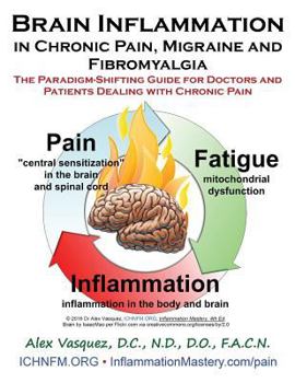 Paperback Brain Inflammation in Chronic Pain, Migraine and Fibromyalgia: The Paradigm-Shifting Guide for Doctors and Patients Dealing with Chronic Pain Book