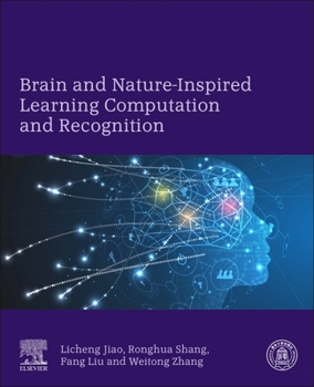 Paperback Brain and Nature-Inspired Learning, Computation and Recognition Book