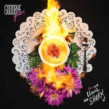 Vinyl Goodbye Guitar Book