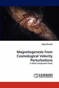 Paperback Magnetogenesis from Cosmological Velocity Perturbations Book