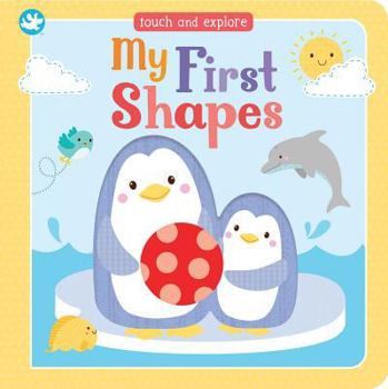 Board book My First Shapes: Touch and Explore Book