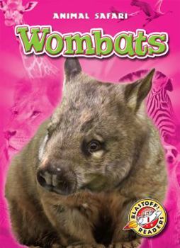 Wombats - Book  of the Animal Safari