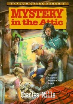 Paperback Mystery in the Attic Book