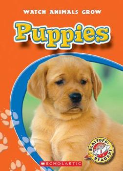 Library Binding Puppies Book