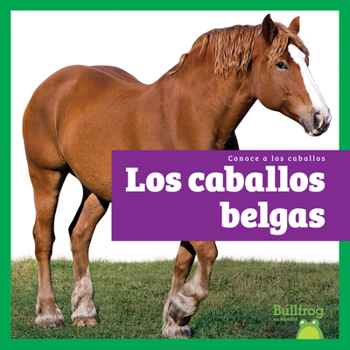 Los Caballos Belgas (Belgian Horses)