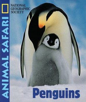 Board book Animal Safari - Penguins Book