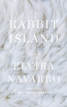 Hardcover Rabbit Island Book