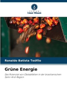 Paperback Grüne Energie [German] Book