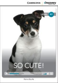 So Cute! Beginning Online Only