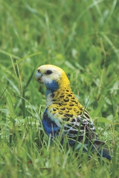 Sittich: Notizbuch / Tagebuch Sittich Vogel - DIN A5 120 Seiten liniert - Geschenke f�r Vogelliebhaber Vogelbeobachtung