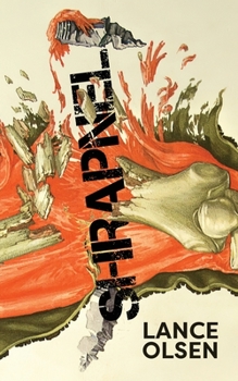 Paperback Shrapnel: Contemplations Book