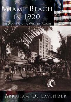Paperback Miami Beach in 1920: The Making of a Winter Resort Book