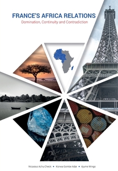 Paperback France's Africa Relations: Domination, Continuity and Contradiction Book