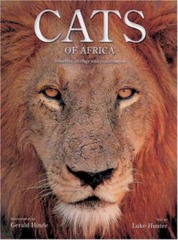 Hardcover Cats of Africa: Behavior, Ecology, and Conservation Book