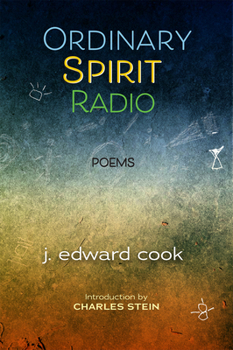 Paperback Ordinary Spirit Radio Book