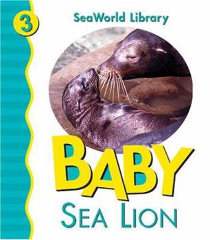 Board book Baby Sea Lion San Diego Zoo Book