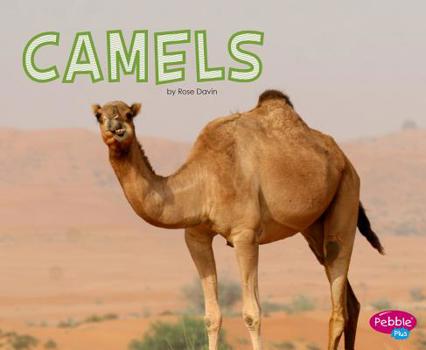 Hardcover Camels Book