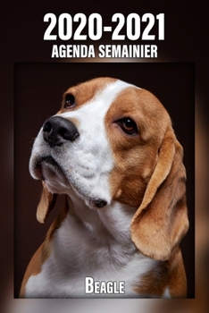 2020-2021 Agenda Semainier Beagle: A5, 221 Pages | 24 Mois | Planificateur & Organiseur | Calendrier | Une double page par semaine | Journal | Agenda | En Francais (French Edition)