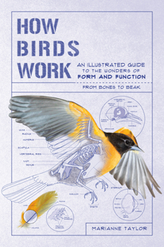 Paperback How Birds Work: An Illustrated Guide to the Wonders of Form and Function - From Bones to Beak Book