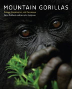 Hardcover Mountain Gorillas: Biology, Conservation, and Coexistence Book