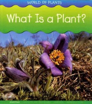 What Is a Plant? - Book  of the World Of Plants