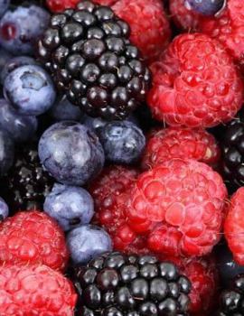 Paperback Berries Notebook Large Size 8.5 x 11 Ruled 150 Pages Softcover Book