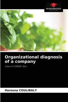 Paperback Organizational diagnosis of a company Book