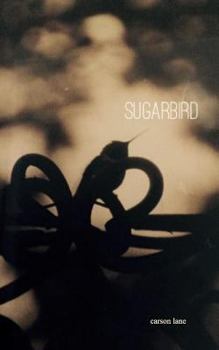 Paperback Sugarbird Book