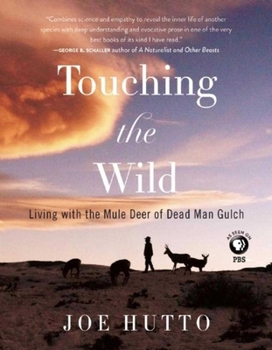 Paperback Touching the Wild: Living with the Mule Deer of Deadman Gulch Book