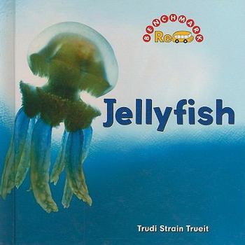 Jellyfish - Book  of the Benchmark Rebus:  Ocean Life