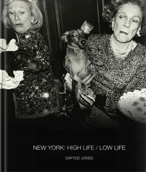 Hardcover New York: High Life / Low Life Book