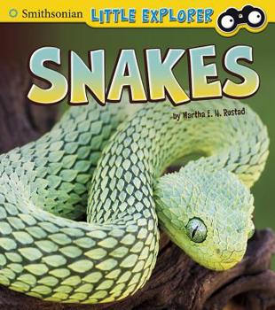 Hardcover Snakes Book