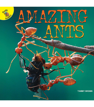 Paperback Amazing Ants Book