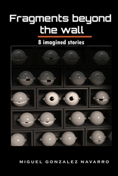 Fragments_beyond_the_wall: 8 imagined stories