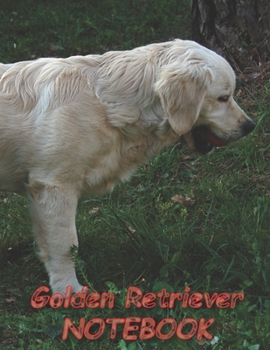 Paperback Golden Retriever NOTEBOOK: Dog Notebooks and Journals 110 pages (8.5"x11") Book