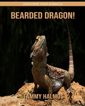 Paperback Bearded Dragon! (Discover Your Animals) Book