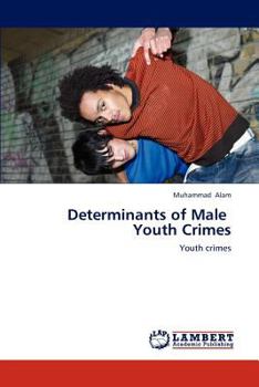 Paperback Determinants of Male Youth Crimes Book