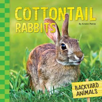 Cottontail Rabbits - Book  of the Backyard Animals