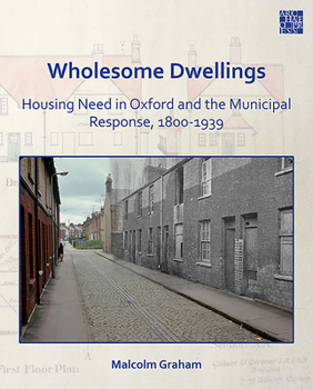 Paperback Wholesome Dwellings: Housing Need in Oxford and the Municipal Response, 1800-1939 Book