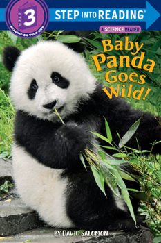 Paperback Baby Panda Goes Wild! Book