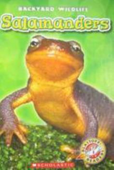 Hardcover Salamanders Book