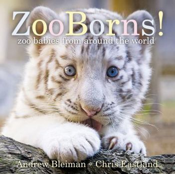 Board book Zooborns!: Zoo Babies from Around the World Book