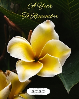 A Year to Remember 2020 Calendar Planner: 8"x10" - Jan - Dec 2020 1 Year Daily Weekly Monthly Calendar Planner